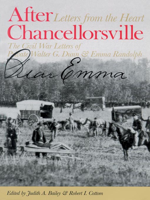 Title details for After Chancellorsville by Judith A. Bailey - Wait list